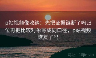 p站视频像收纳：先把证据链断了吗归位再把比较对象写成同口径，p站视频恢复了吗