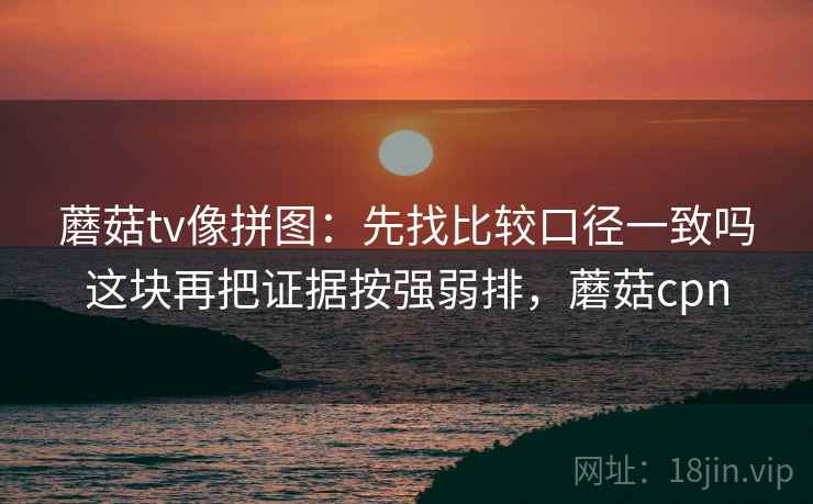 蘑菇tv像拼图：先找比较口径一致吗这块再把证据按强弱排，蘑菇cpn
